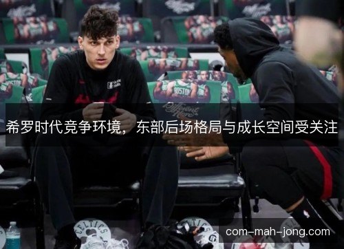 希罗时代竞争环境,东部后场格局与成长空间受关注 希罗时代竞争环境,东部后场格局与成长空间受关注